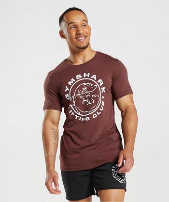 Pánské T Shirts Gymshark Legacy Růžové Hnědé | CZ 2445HAP